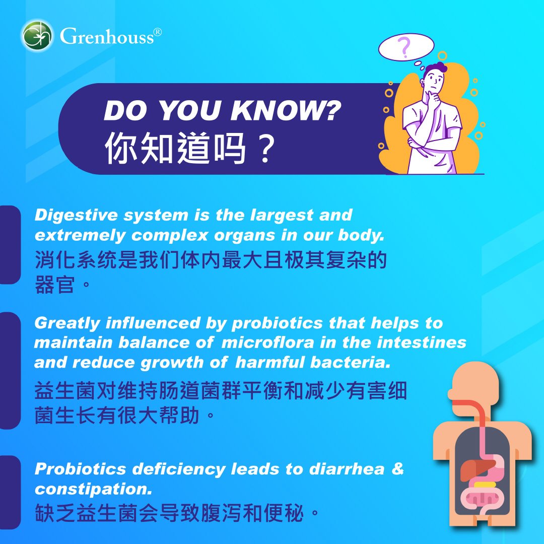 687b667fdc196959833c79e9_zenpo-9-e-commerce-image-4_1759307937141.jpg